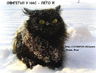 click for enlarge 640 X 486  51.2 Kb picture