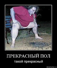 click for enlarge 399 X 480  38.6 Kb picture