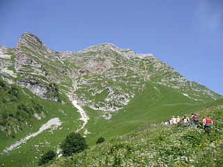 click for enlarge 1920 X 1440 388.8 Kb picture