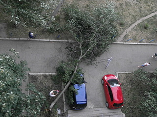 click for enlarge 1920 X 1440 751.3 Kb picture