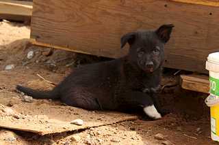 click for enlarge 1920 X 1280 145.9 Kb picture