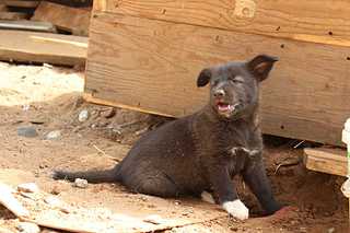 click for enlarge 1920 X 1280 183.7 Kb picture