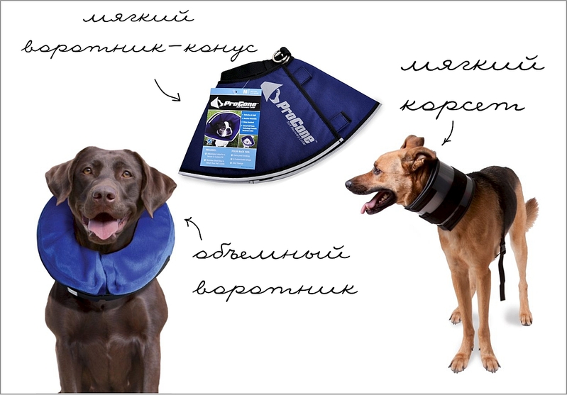 click for enlarge 1266 X 883 347.3 Kb picture