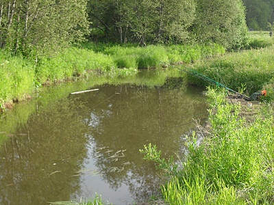 click for enlarge 800 X 600 292.0 Kb picture