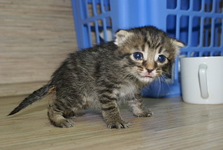 click for enlarge 1920 X 1285 466.2 Kb picture