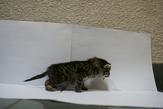 click for enlarge 1920 X 1285 464.1 Kb picture