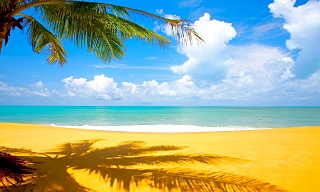 click for enlarge 1280 X 768 280.7 Kb picture