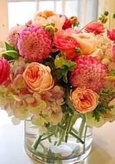 click for enlarge 422 X 604  87.2 Kb picture