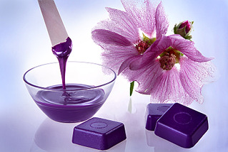 click for enlarge 800 X 535 226.4 Kb picture