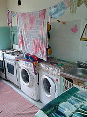 click for enlarge 384 X 512 68.8 Kb picture