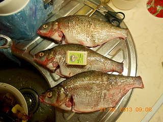 click for enlarge 1920 X 1440 763.5 Kb picture