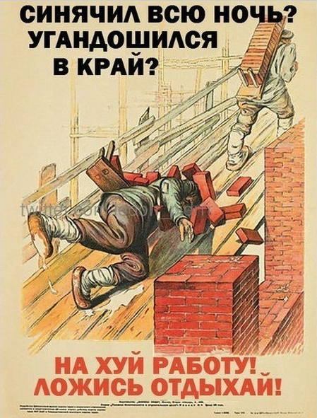 449 x 591