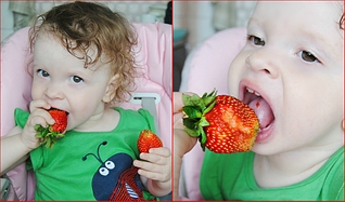 click for enlarge 1000 X 587 391.8 Kb picture