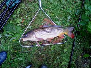 click for enlarge 1600 X 1200 472.3 Kb picture