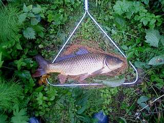 click for enlarge 1600 X 1200 429.5 Kb picture