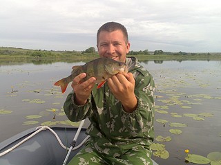 click for enlarge 1920 X 1440 536.5 Kb picture