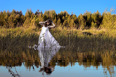 click for enlarge 1000 X 667 883.8 Kb picture