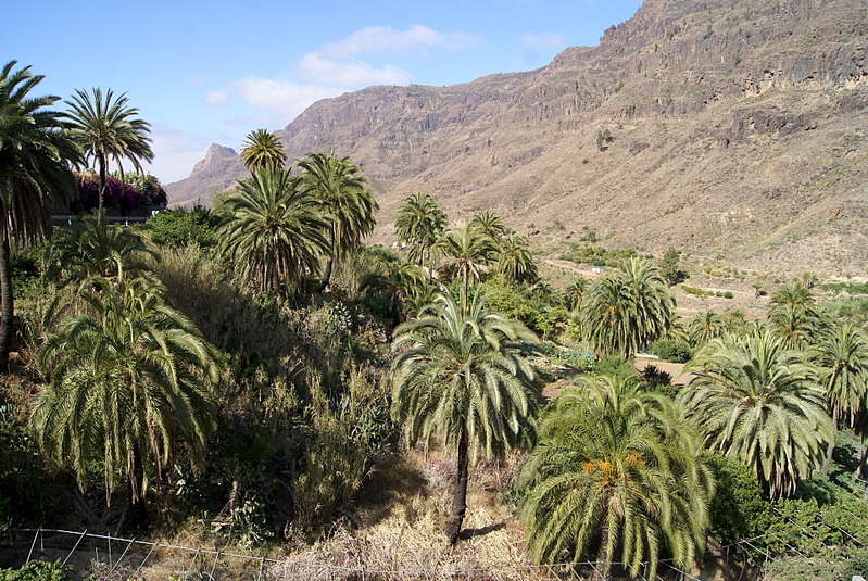 click for enlarge 1920 X 1285 462.0 Kb picture