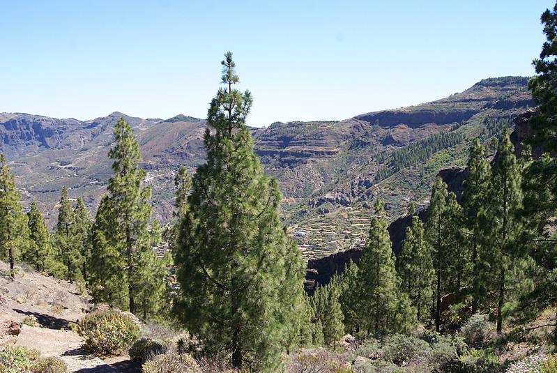 click for enlarge 1920 X 1285 846.8 Kb picture