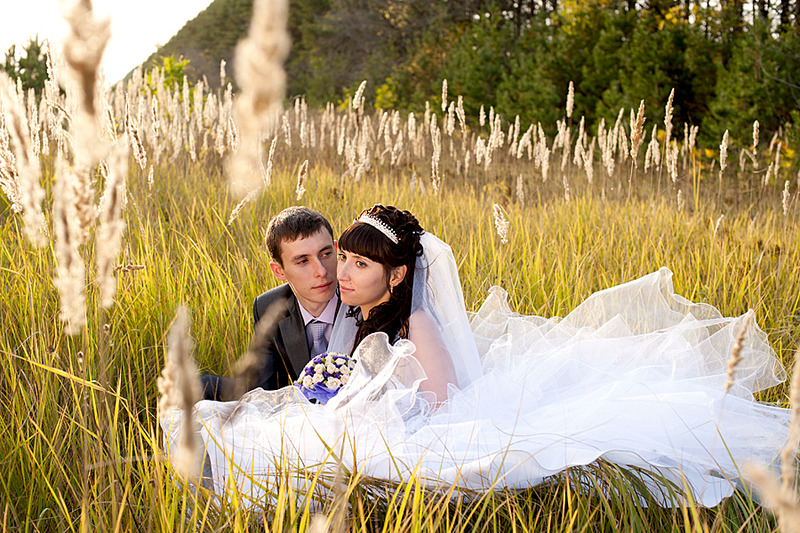 click for enlarge 900 X 600 572.0 Kb picture