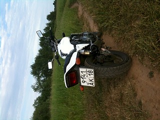 click for enlarge 1920 X 1440 672.6 Kb picture