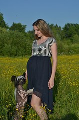 click for enlarge 537 X 807 83.5 Kb picture