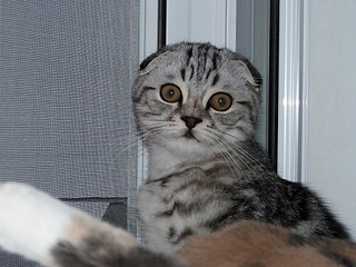 click for enlarge 1920 X 1440 890.3 Kb picture