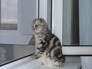 click for enlarge 1920 X 1440 839.4 Kb picture