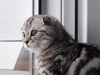 click for enlarge 1920 X 1440 763.9 Kb picture