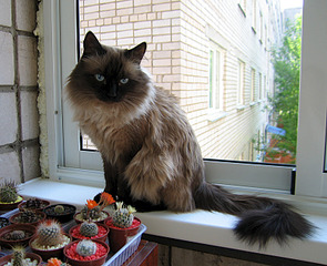 click for enlarge 800 X 650 447.0 Kb picture