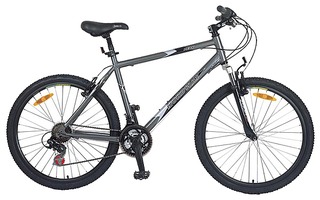 click for enlarge 600 X 375 146.0 Kb picture