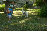 click for enlarge 1920 X 1275 903.5 Kb picture