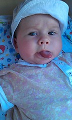 click for enlarge 1552 X 2592 1021.2 Kb picture
