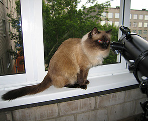 click for enlarge 800 X 650 441.1 Kb picture