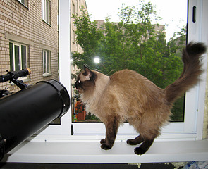 click for enlarge 800 X 650 459.5 Kb picture