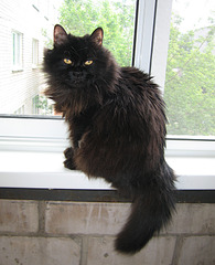 click for enlarge 650 X 800 410.4 Kb picture