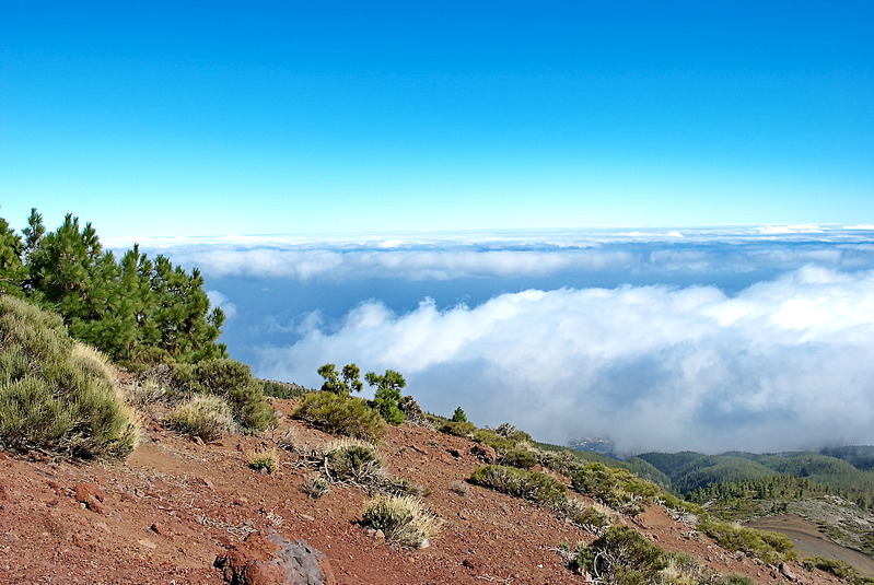 click for enlarge 1920 X 1285 707.0 Kb picture