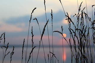 click for enlarge 1920 X 1280 436.5 Kb picture