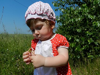 click for enlarge 1600 X 1200 542.1 Kb picture