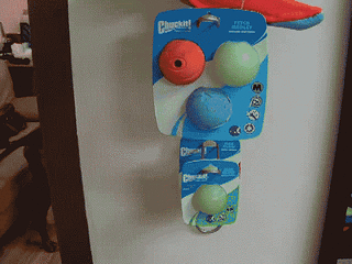 click for enlarge 640 X 480   2.3 Mb picture