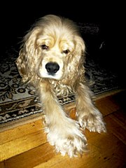 click for enlarge 768 X 1024 125.5 Kb picture