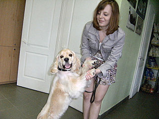 click for enlarge 640 X 480 58.5 Kb picture