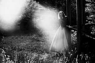 click for enlarge 800 X 533 261.9 Kb picture