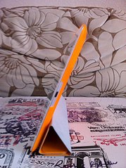 click for enlarge 451 X 604 70.8 Kb picture