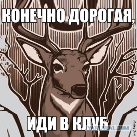 450 x 450