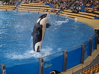 click for enlarge 1440 X 1080 914.2 Kb picture