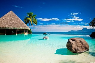 click for enlarge 500 X 333  44.2 Kb picture