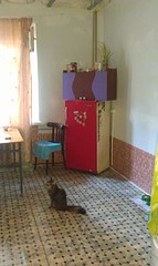 click for enlarge 1920 X 3210 616.8 Kb picture