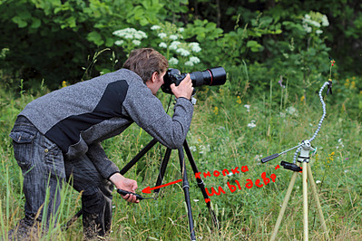 click for enlarge 962 X 641 631.4 Kb picture