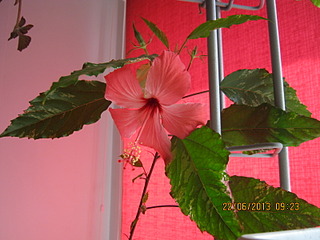 click for enlarge 1600 X 1200 443.6 Kb picture